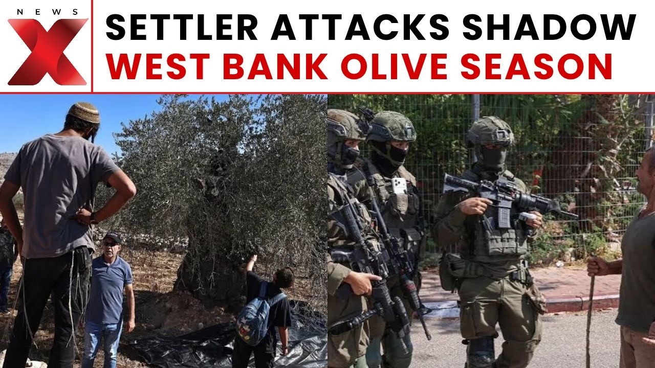 West Bank Olive Harvest: Palestinian Farmers Reportedly Face Attacks From Israeli Settlers | NewsX