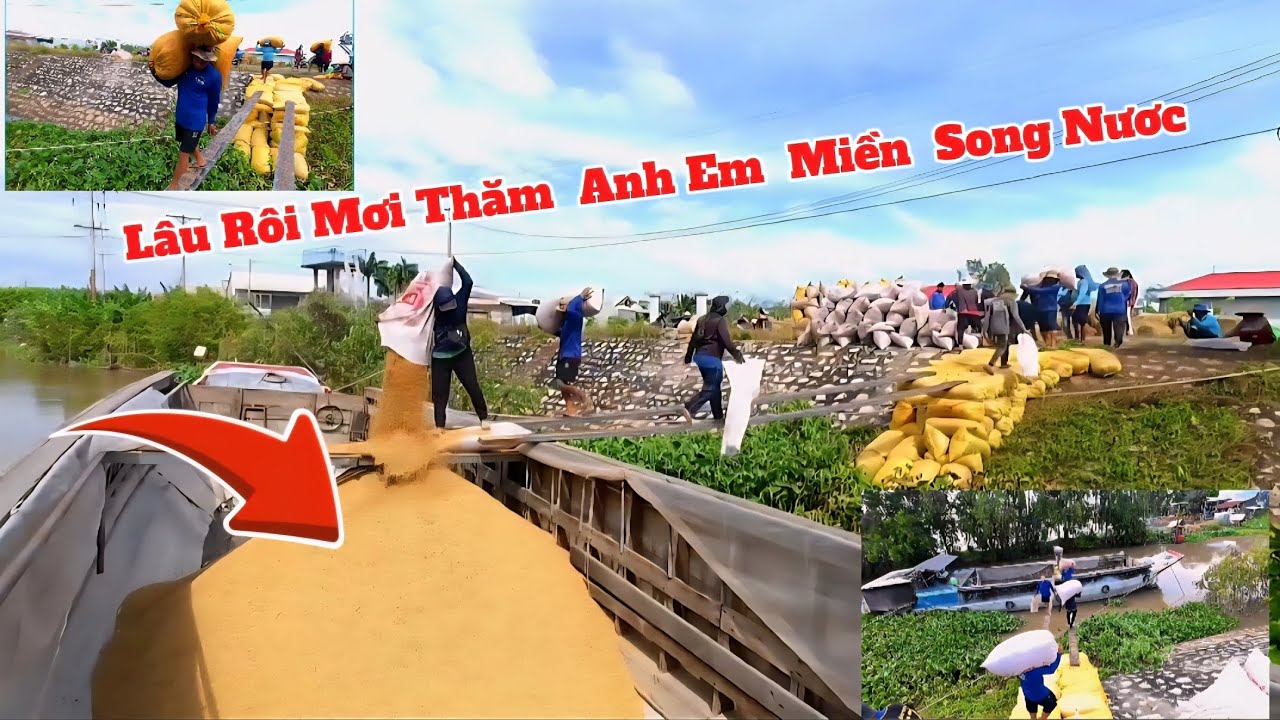 Nai Vê Thăm Ae Miền Song Nươc 