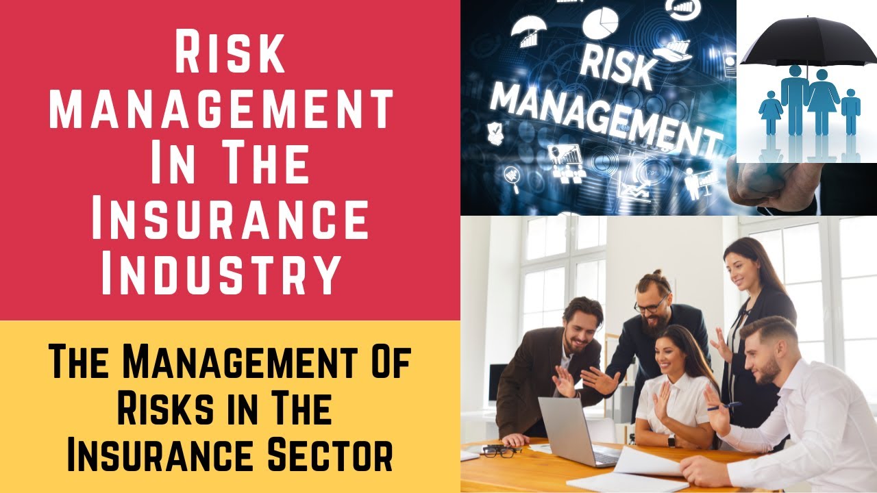 The Management of Risks in the Insurance Sector. Risk and Risk Management in the Insurance Industry