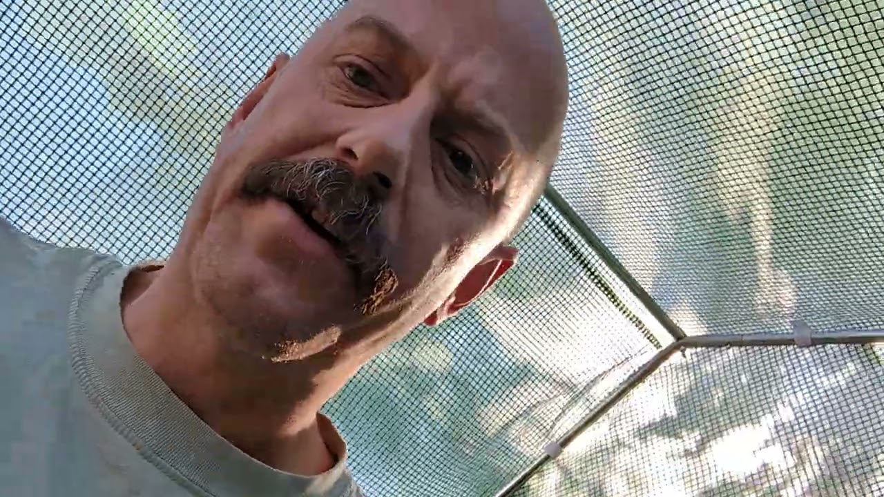 Cannabis Grow Outdoor Greenhouse Addition. Let's See What's Growing On! @mrgreengrower