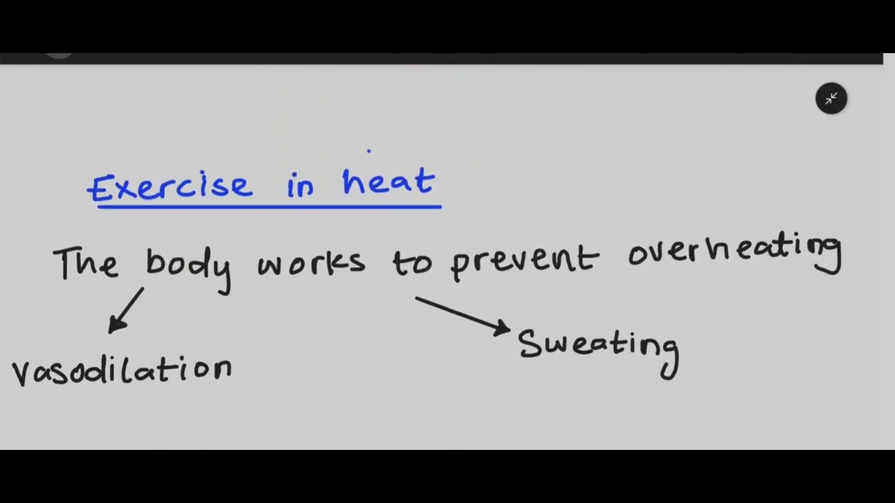 Altitude and Heat (OCR A-Level PE) | Super PE Online