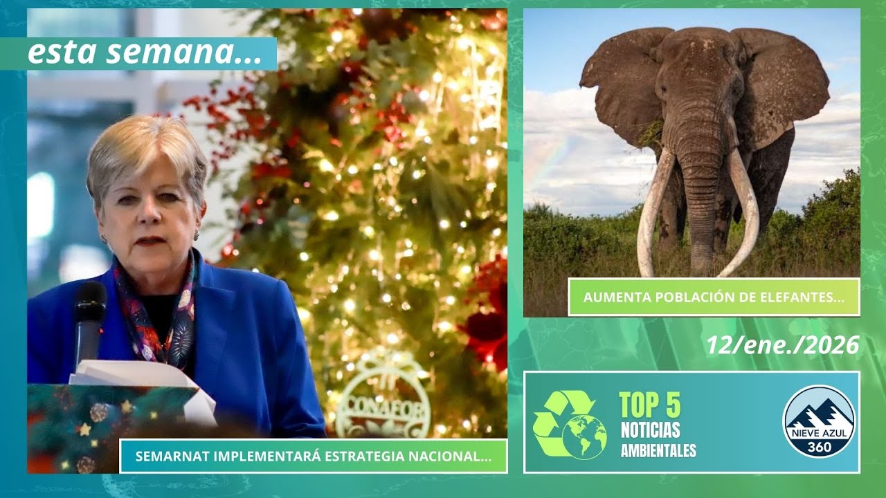 TOP 5 de Noticias Ambientales | Impulsa Semarnat acciones de justicia ambiental para 2026