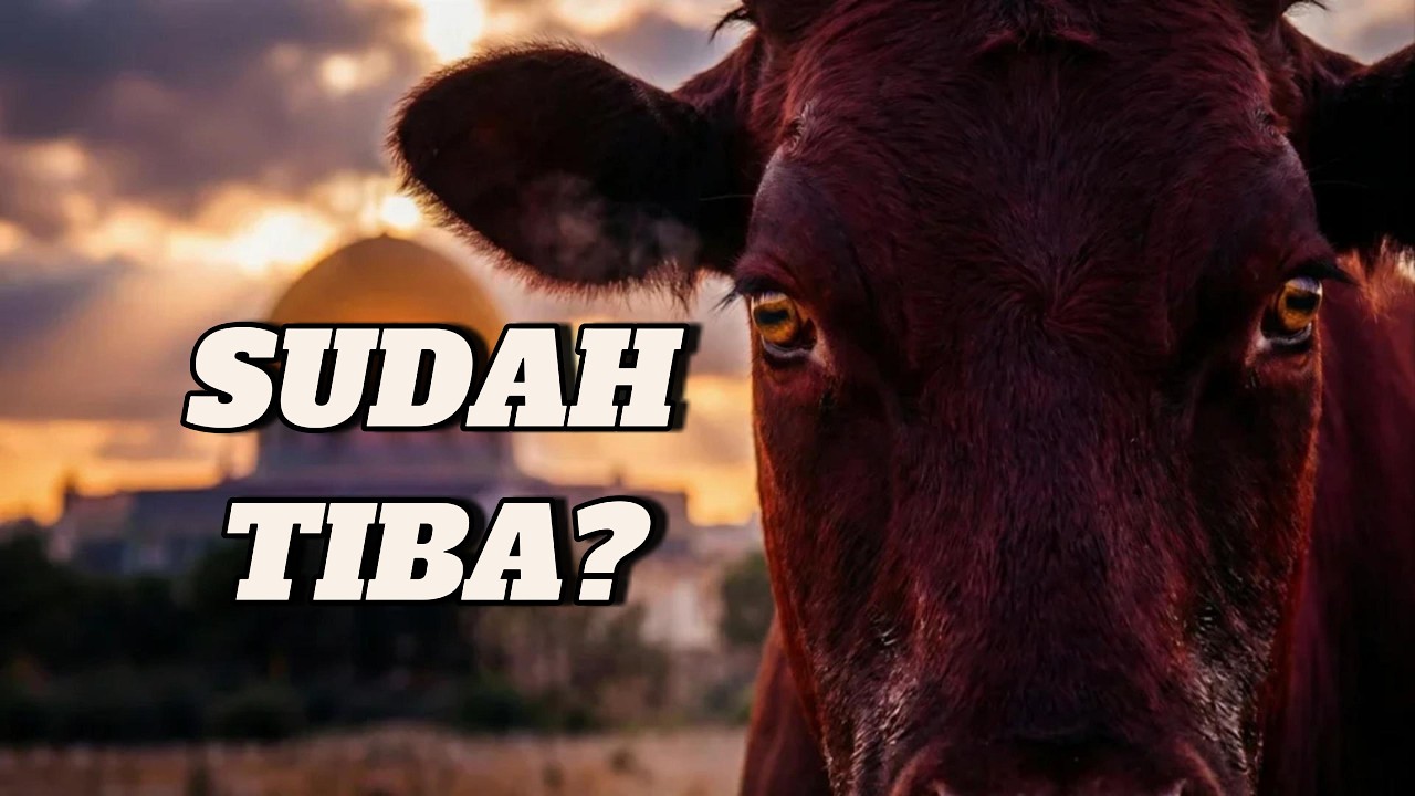 Sapi Merah dan Kuil Ketiga: Ancaman Bagi Al-Aqsa?