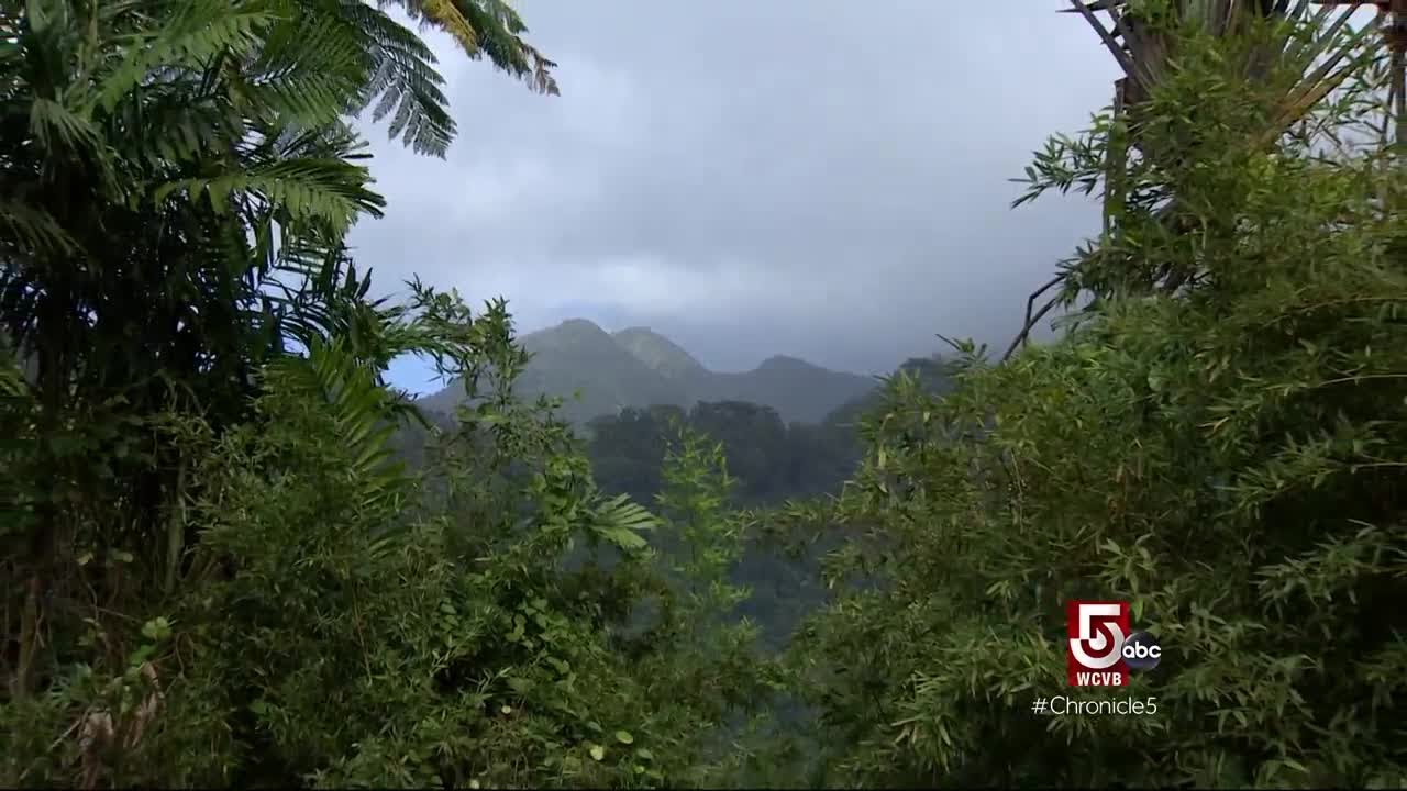 Martinique: Natural Beauty & Deep History