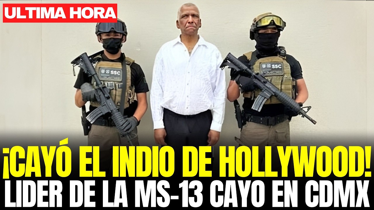 ASÍ CAYÓ JOSÉ WILFREDO AYALA, “EL INDIO DE HOLLYWOOD”: LÍDER CLAVE de la MS-13 CAPTURADO en CDMX