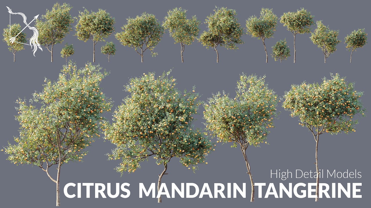 Hyper realistic 3D Assets Citrus Mandarin Tangerine Tree for UE5 | Hyper realistic WIND, RAIN, SNOW