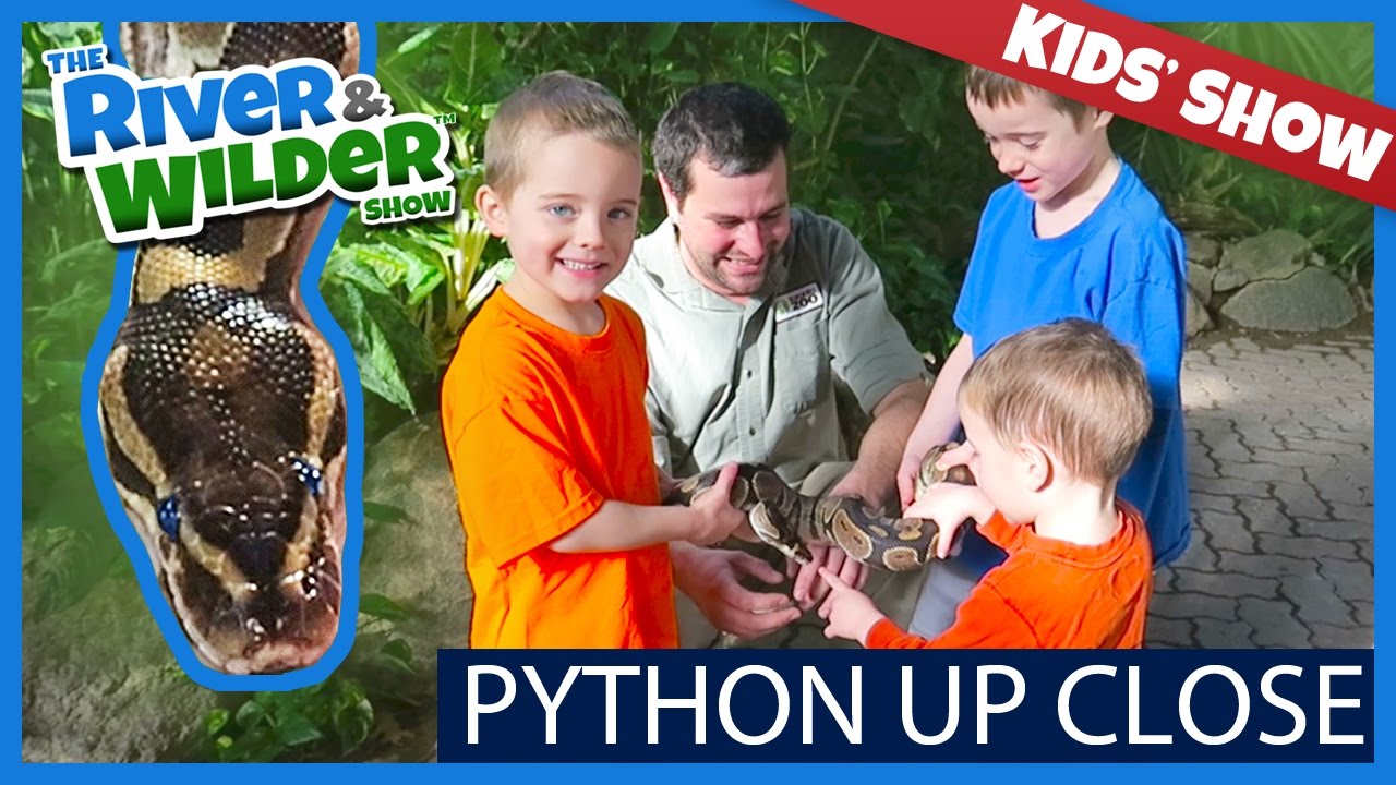 BOYS HOLD BALL PYTHON ON ZOO ADVENTURE | KIDS TV