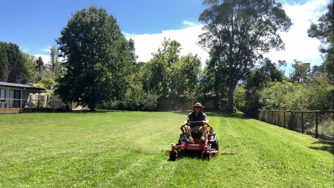 Mowing a lawn with gator blades I