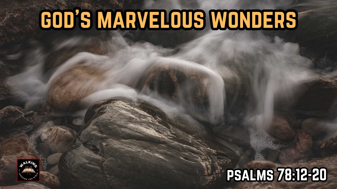Marvelous Works God Did For Israel | Psalms 78:12-20 | #bookofpsalms