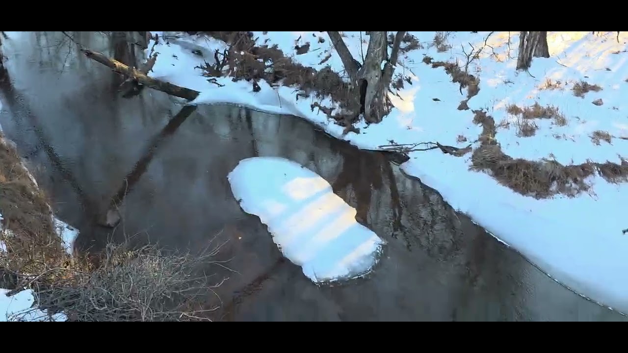W&OD Trail near Hampshire Park, completely frozen(W&OD ట్రైల్, పూర్తిగా గడ్డకట్టింది)