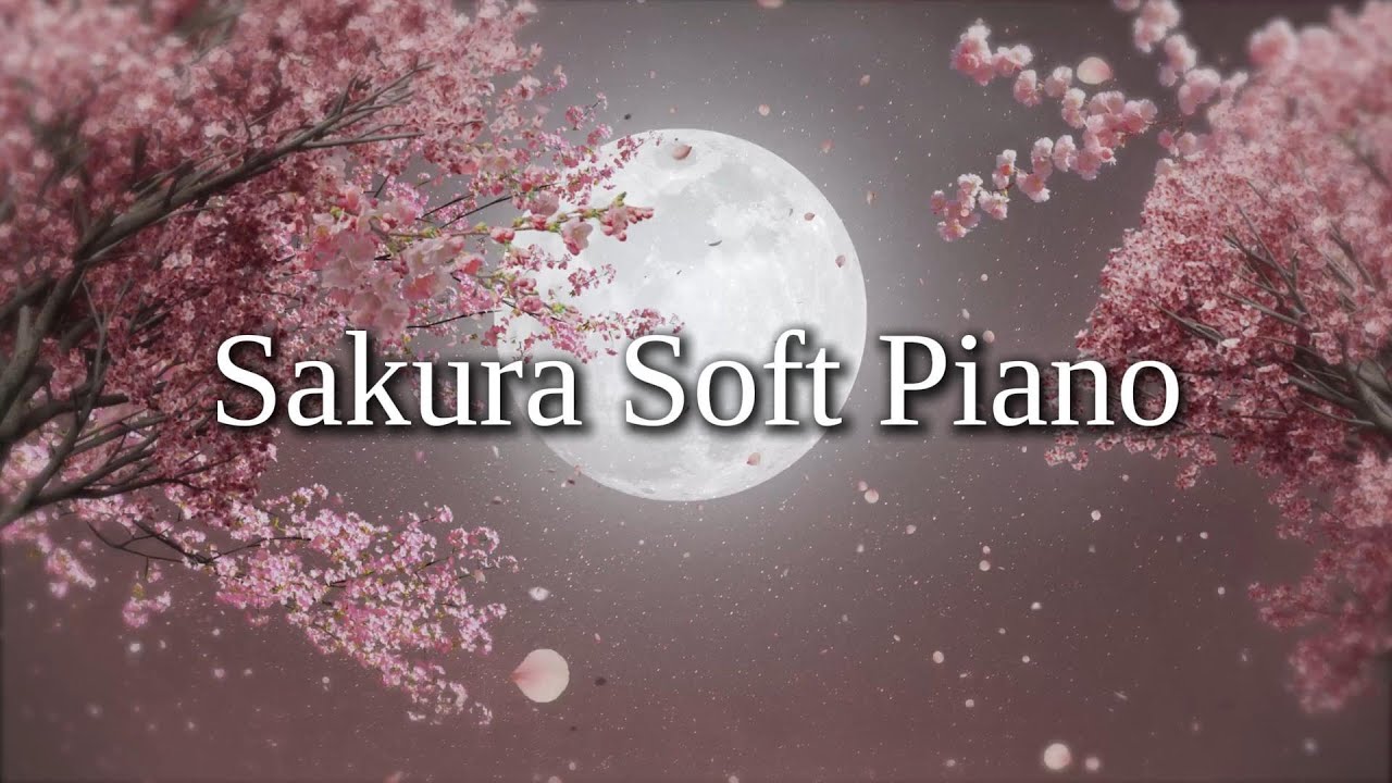 Peaceful Instrumental Piano for Long Study Sessions
