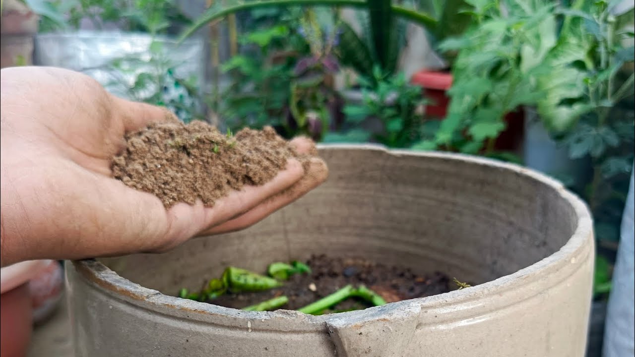 How to make Kitchen waste compost at home#terrace #garden