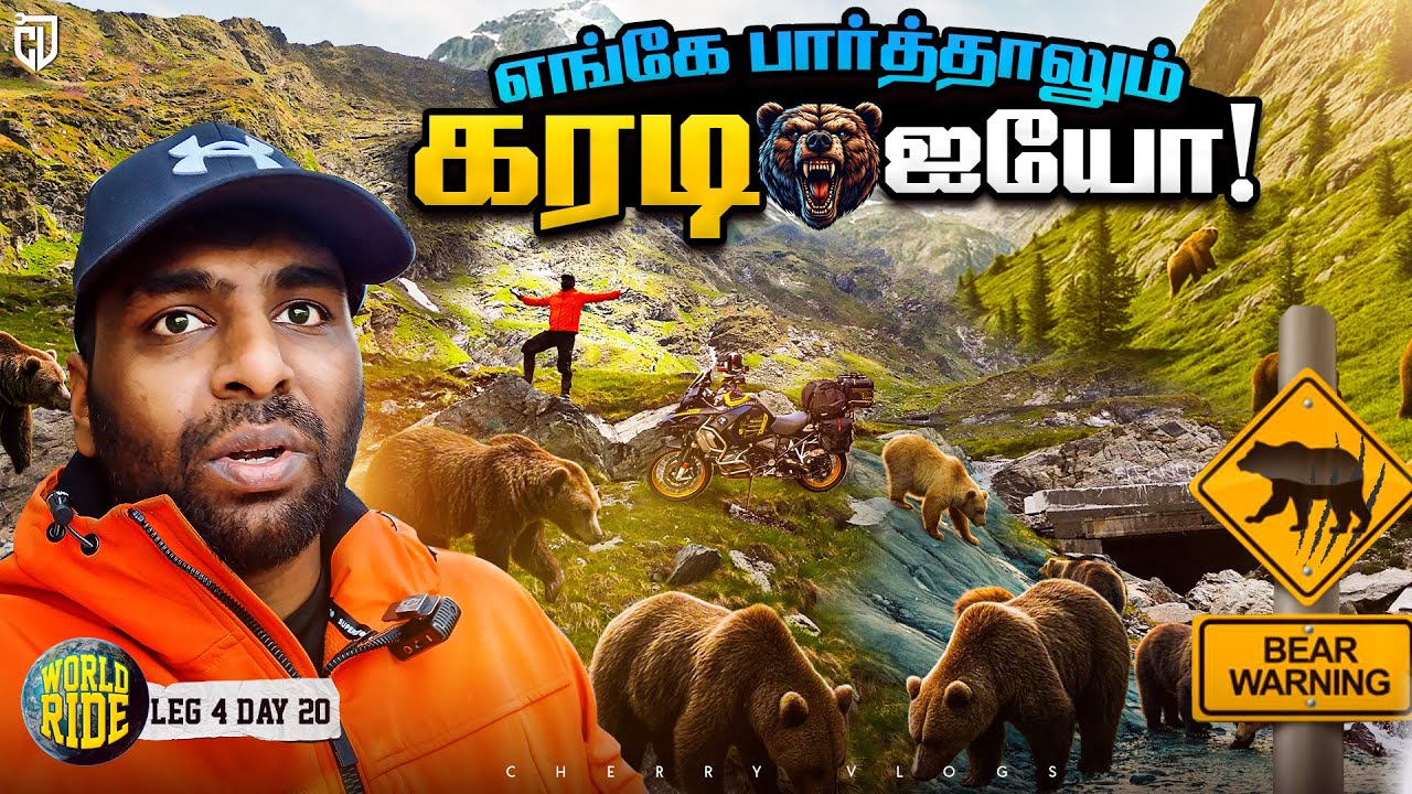 I Risked It All: Wild Bear Encounter While Riding Romania&rsquo;s Craziest Road!