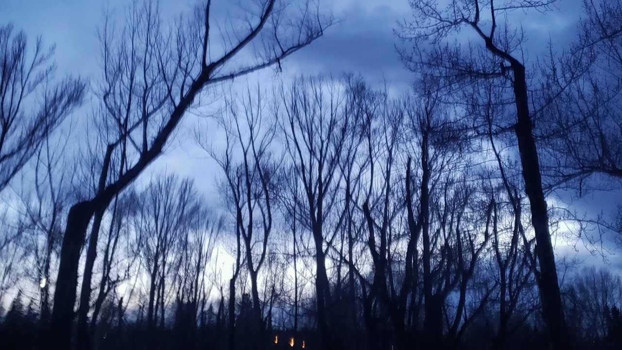 Pale White Horse - The Oh Hellos (slowed & reverbd)