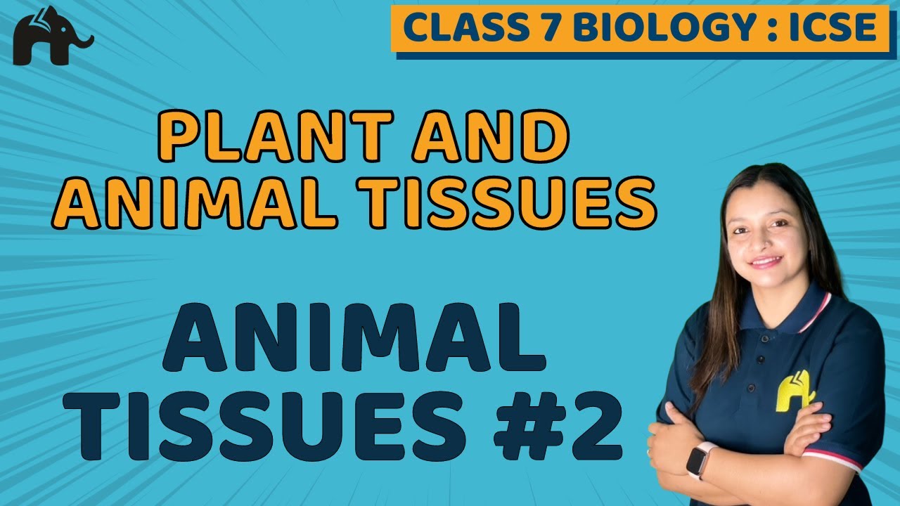 Plant And Animal Tissue Class 7 ICSE Biology | Selina Chapter 1 | Animal Tissues #2