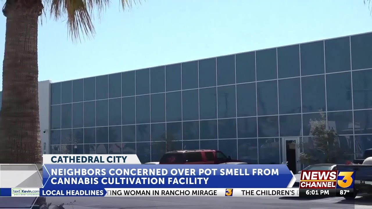 Neighbors concerned over pot smell from Cathedral City cannabis cultivation facility