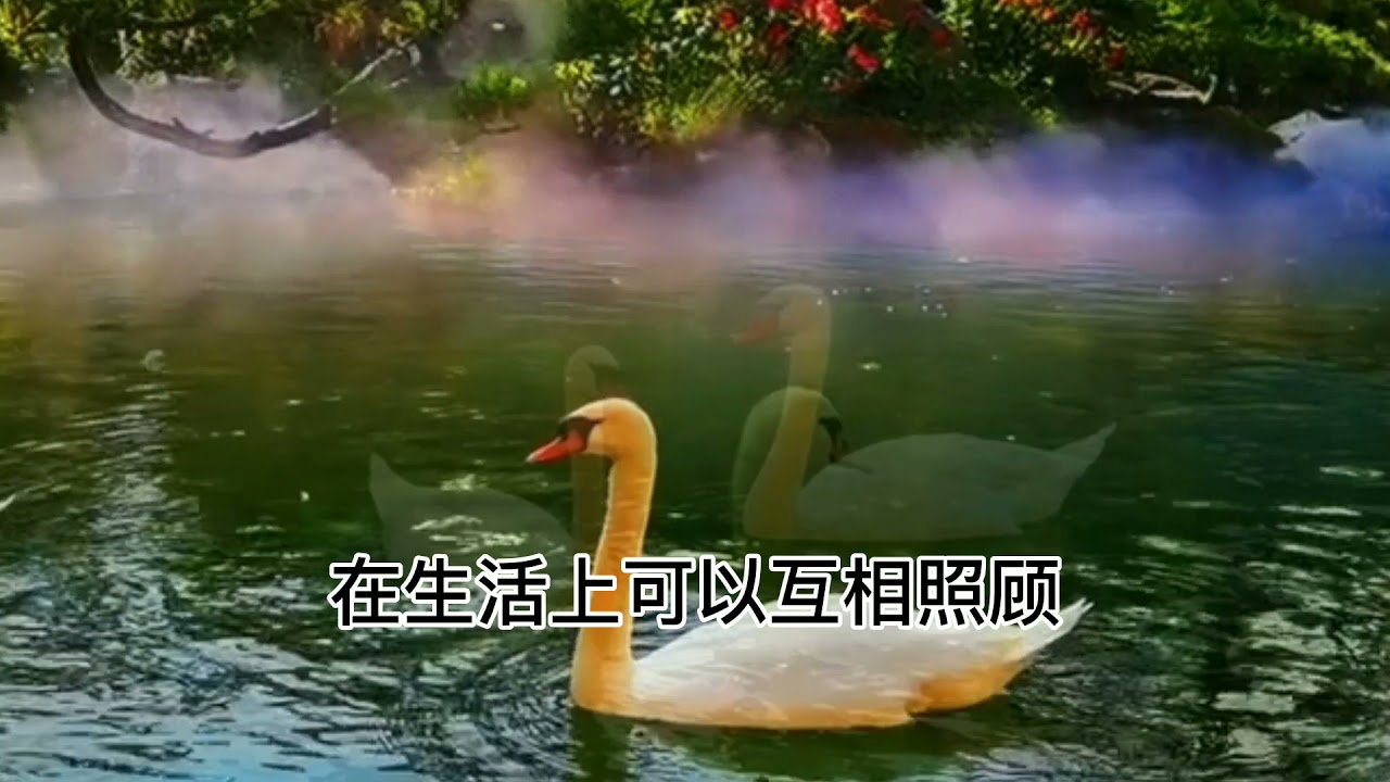 不想成为办公室里的孤独者，应做到一下几点