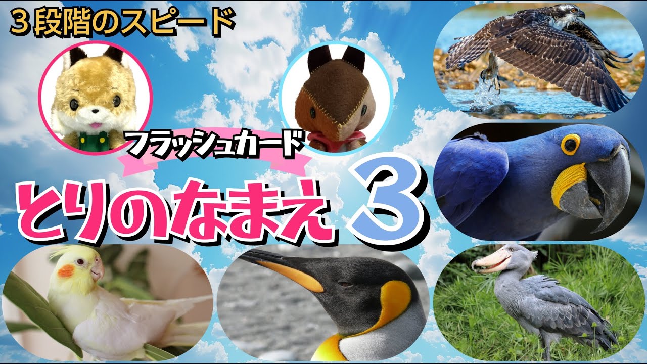 【フラッシュカード】くり返しておぼえる♪ひらがなで「とりの なまえ３」
