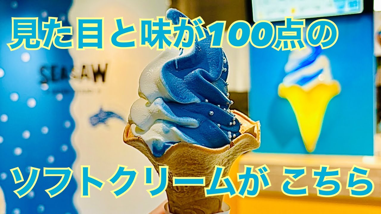 【海遊館】大阪観光！！ジンベエザメに会えた！！