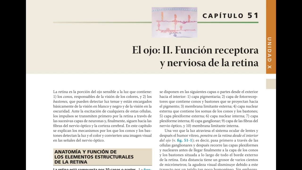 Podcast: Resumen Cap&iacute;tulo 51 &ndash; Retina y Fototransducci&oacute;n Visual | Guyton 14&ordf; Ed.