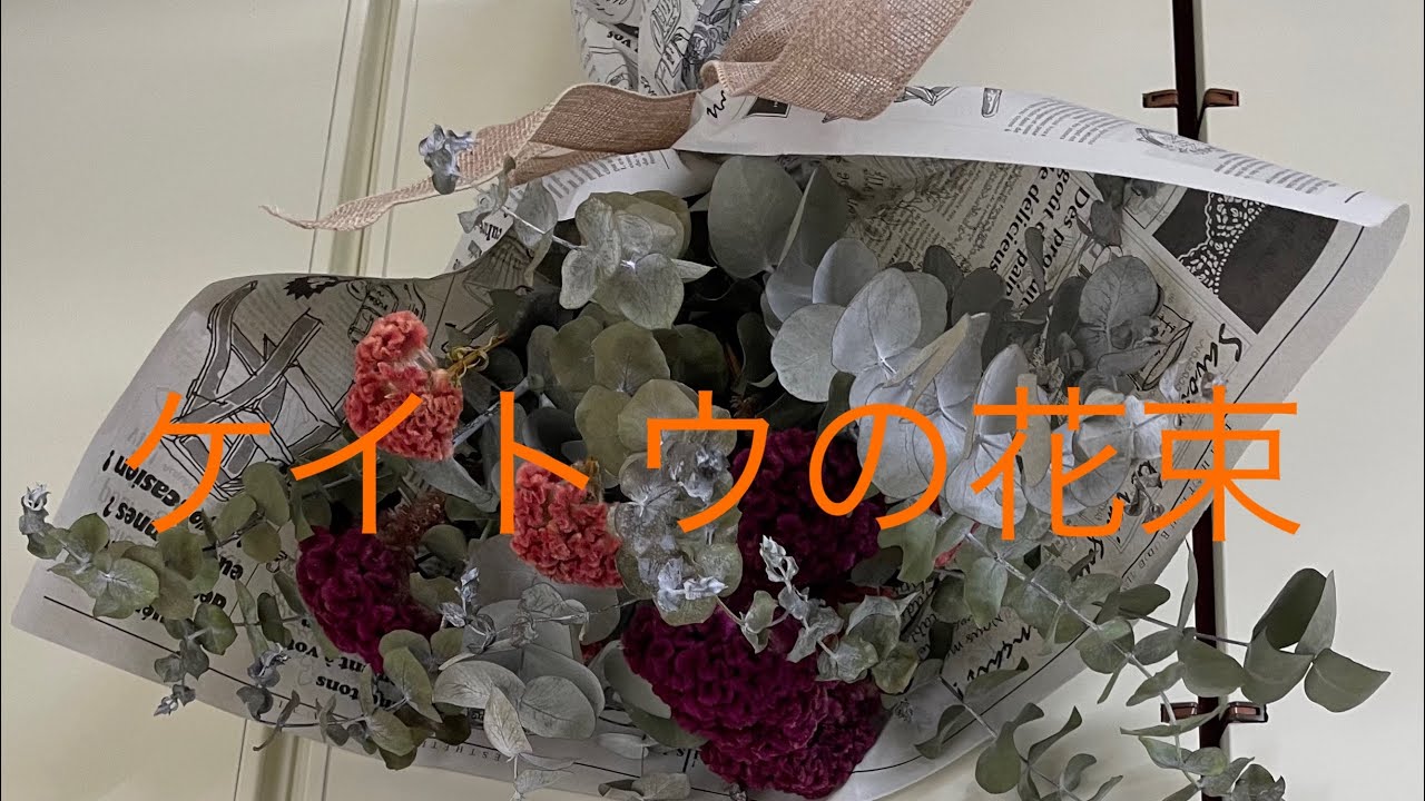 #ケイトウの花束#Flowerアレンジメントの基礎#ユーカリとケイトウで作る花束指が決めテ！