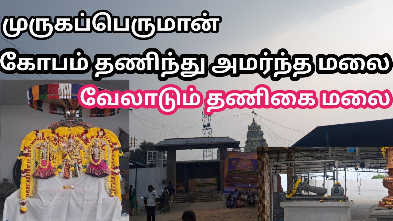 வேலாடும் தணிகைமலை பாலமுருகன் திருக்கோவில் | veladum thanigaimalai balamurugan temple | yamuvellore 
