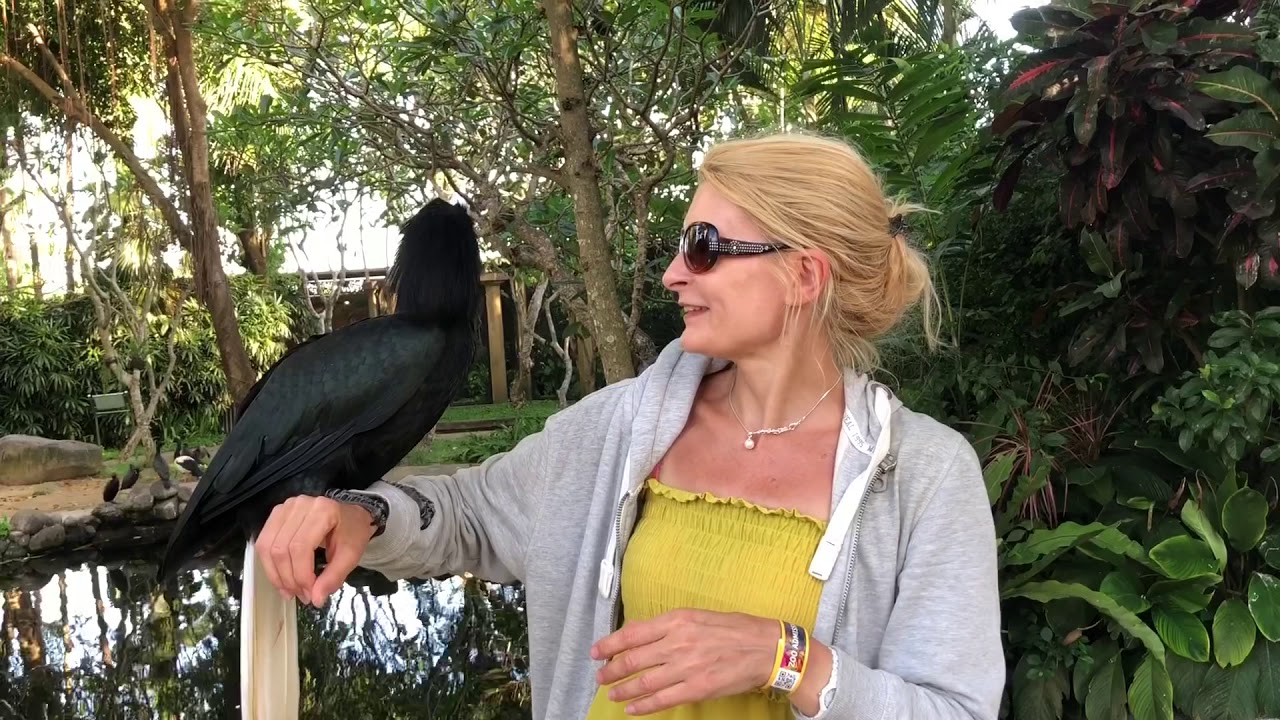 Blonde Girl and toucan pet - Bali Island - Indonesia - Asia
