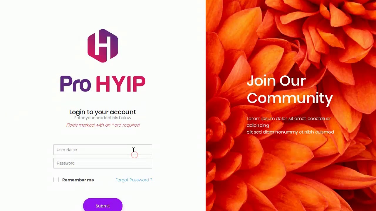 Exchange currency - Pro HYIP Script