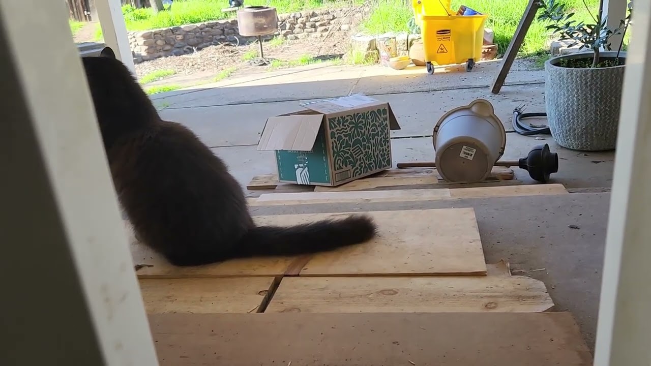 Midnight setting into the new home