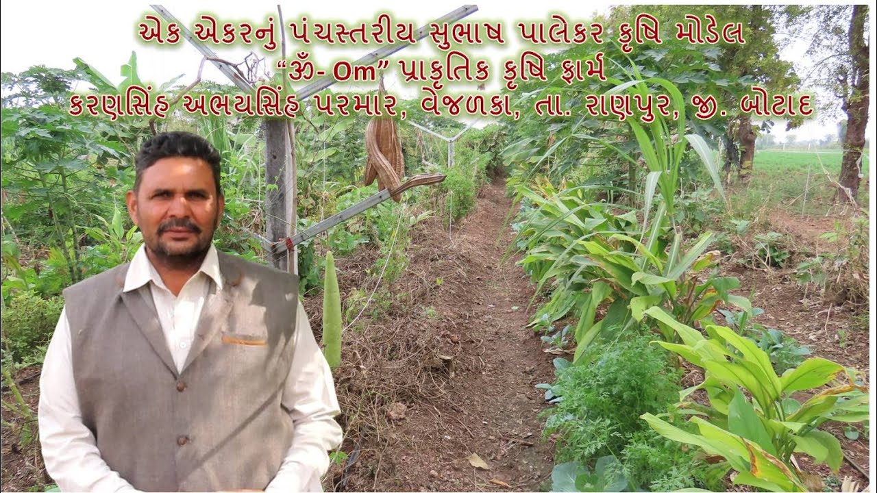 એક એકરનું પંચસ્તરીય સુભાષ પાલેકર કૃષિ મોડેલ, एक एकड़ का पंच-स्तरीय SPK मॉडल, SPK five layer farming
