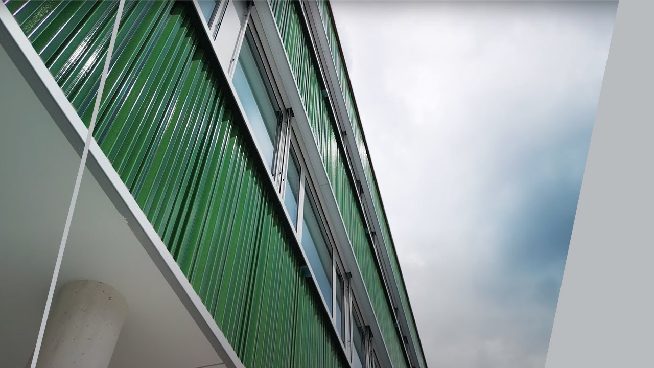 Projektfilm: Gesamtschule Wasseramselweg