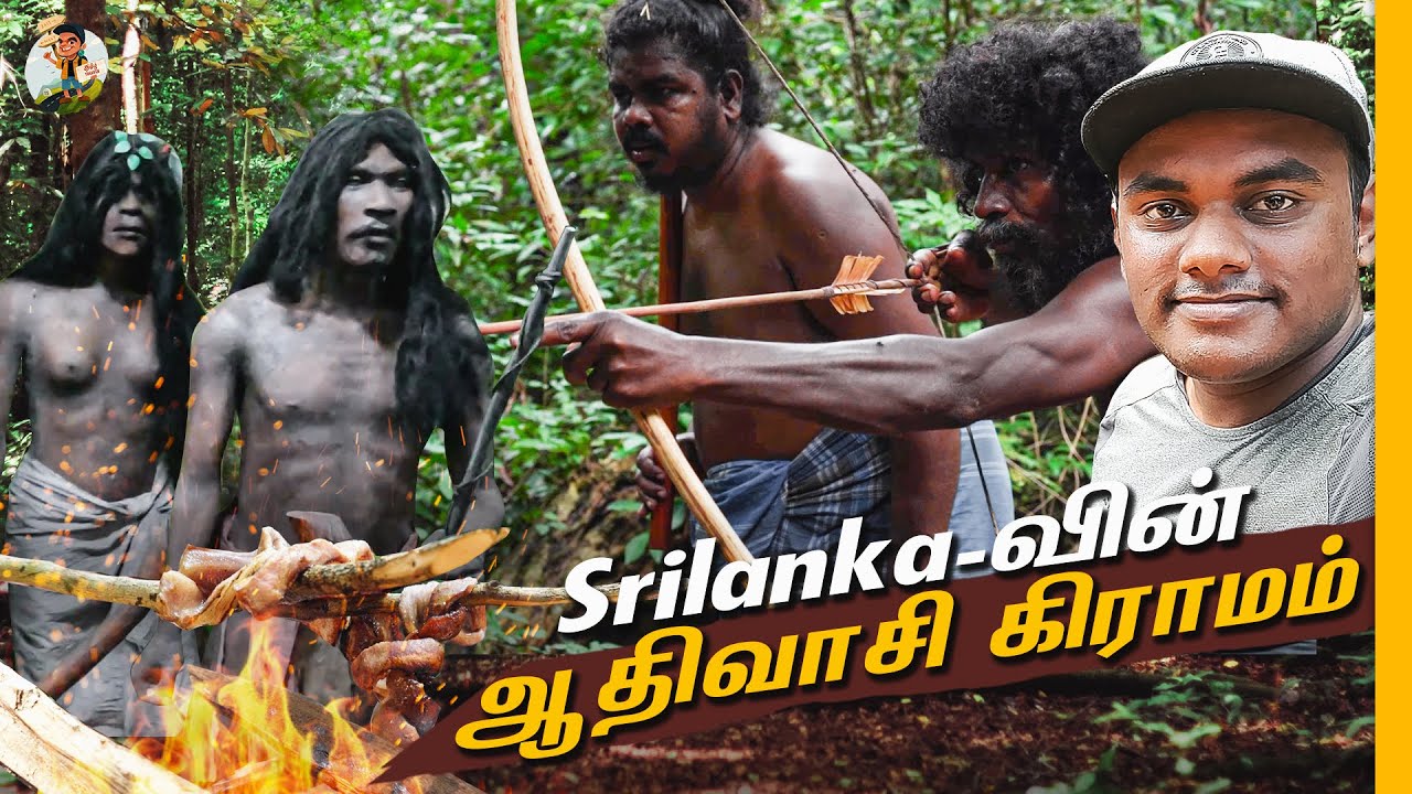 Srilanka-வின் மிரட்டும் ஆதிவாசிகளின் வாழ்க்கை😱 Shocking உணவு Recipes😋 Tamil Trekker