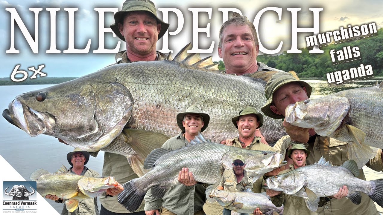 100lb Nile Perch in UGANDA!!