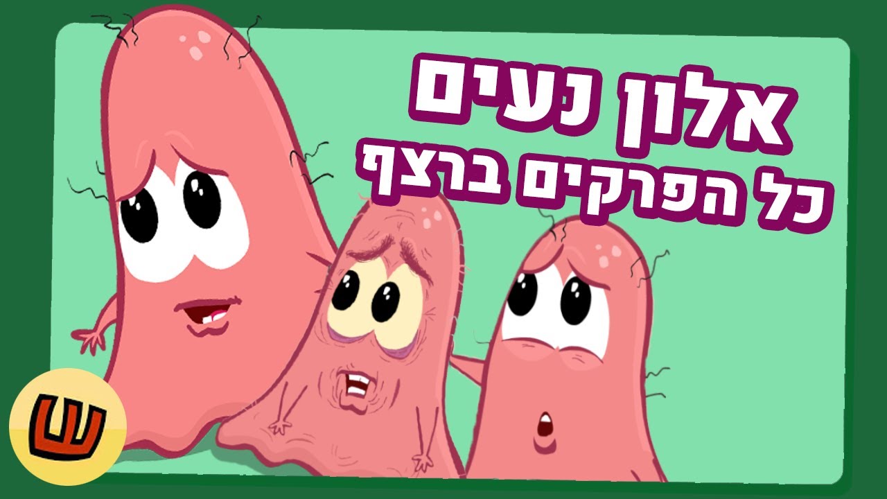 אלון נעים - כל הפרקים ברצף!