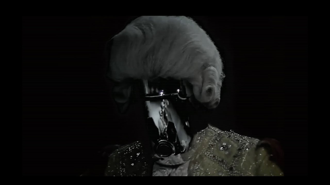 Momus: Screamland