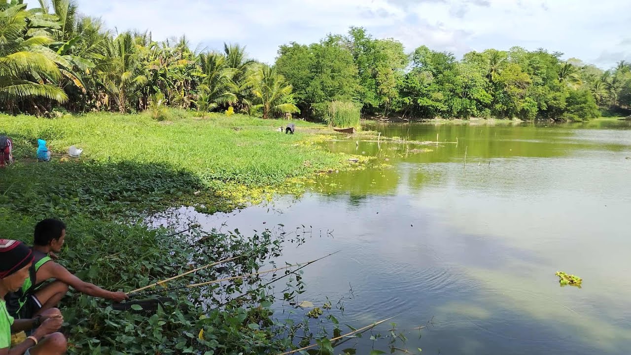ALABEL SARANGANI PROVINCE RELAXING NATURE #nature