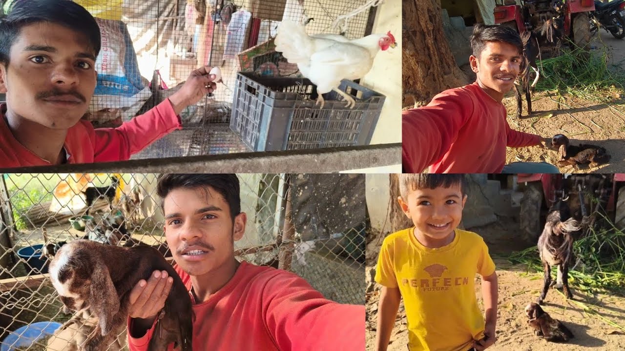 Bakri Ne baccha😍 De Diya, 🐐#vloger 