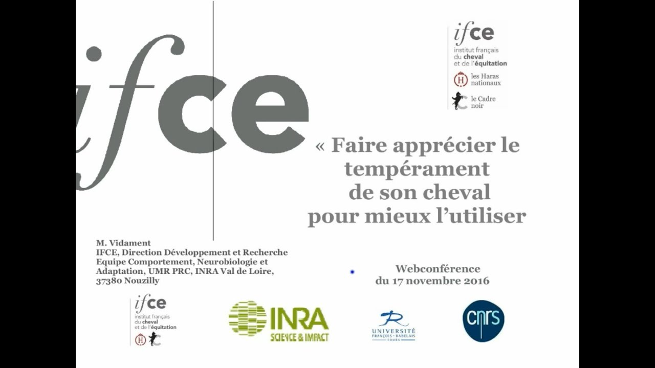 M. Vidament - Webconférence - Faire apprécier le tempérament de son cheval pour mieux l'utiliser.