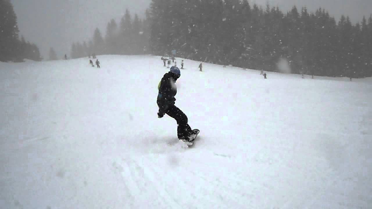 tailpress 360