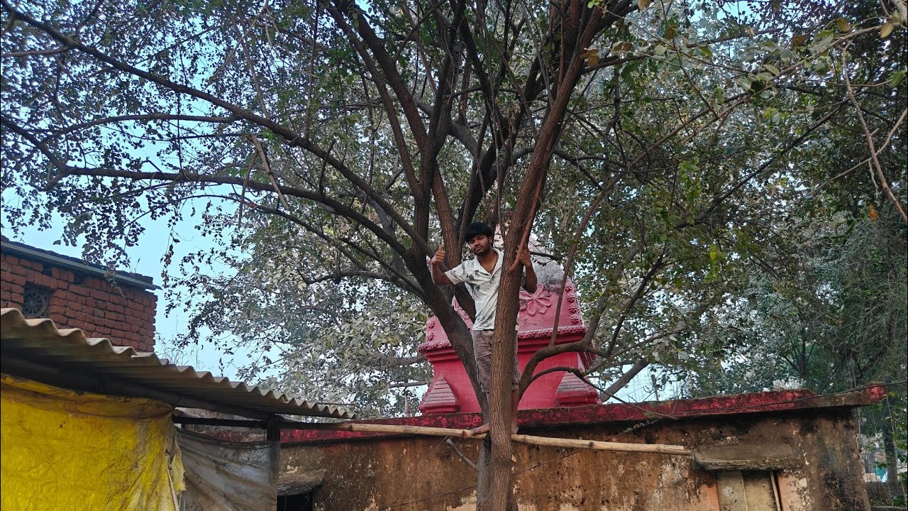 Ber Khane Ke Liye Ped Prr Chad Gaya  😄||  Climbing on the Tree For The First Time😱😱 To Eat|| 