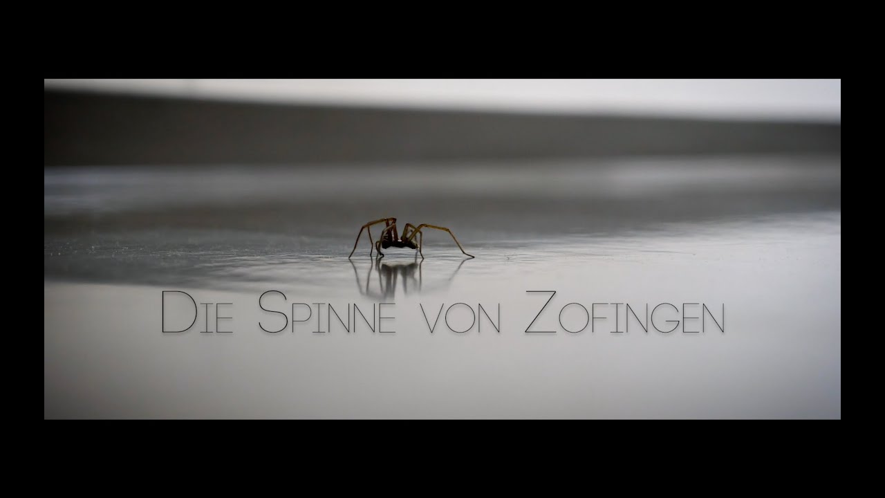 Die Spinne von Zofingen mit deutschen Untertiteln