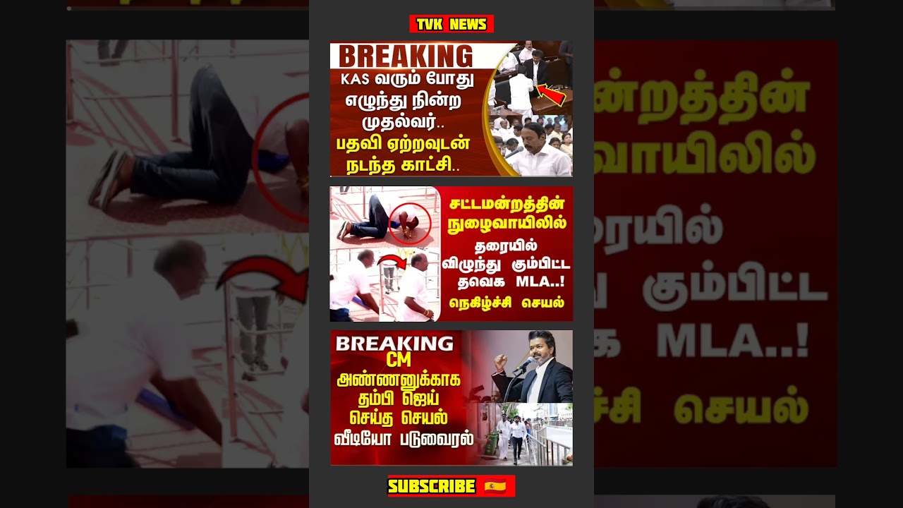 TVK Thalapathy Vijay Anna || #tvk#dmk#admk#congress#bjp#breakingnews#thalapathy#vijay#news