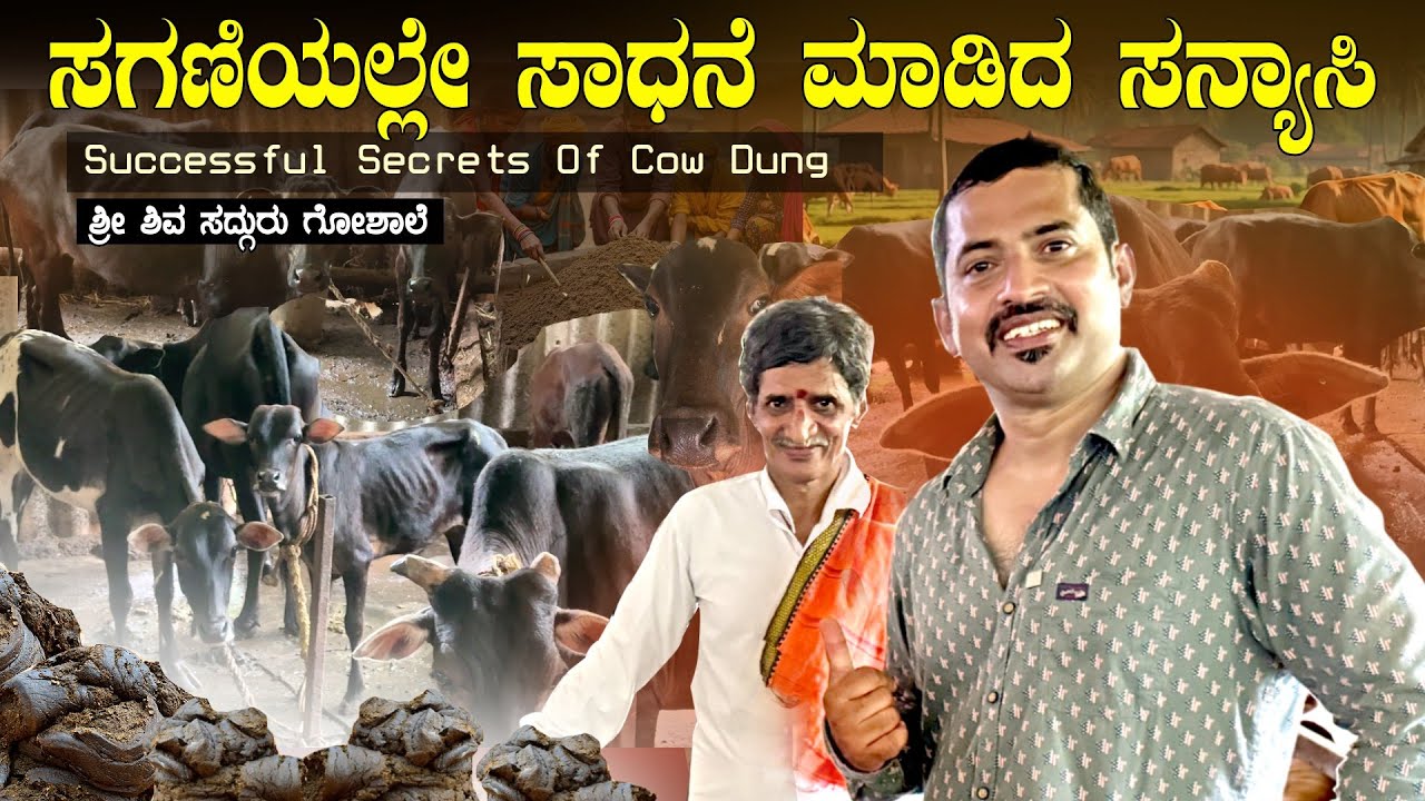 ಸನ್ಯಾಸಿಗೆ ಕೈಗೆ ಸಿಕ್ಕ ಸಗಣಿ 🐄 ಸುಗಂಧವಾಯಿತು 🕉️ Sri Shivasadguru goshaale, Jaddigadde | Sathish Eregowda