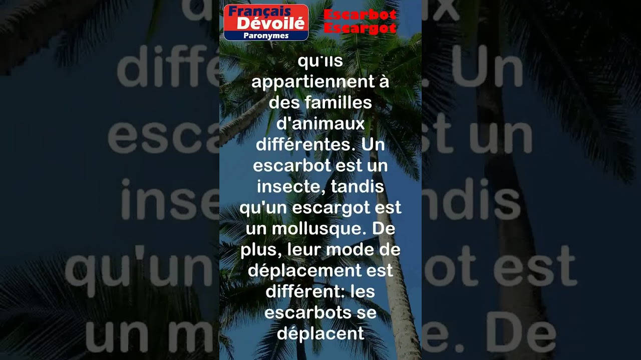 Escarbot et Escargot (Paronymes) 