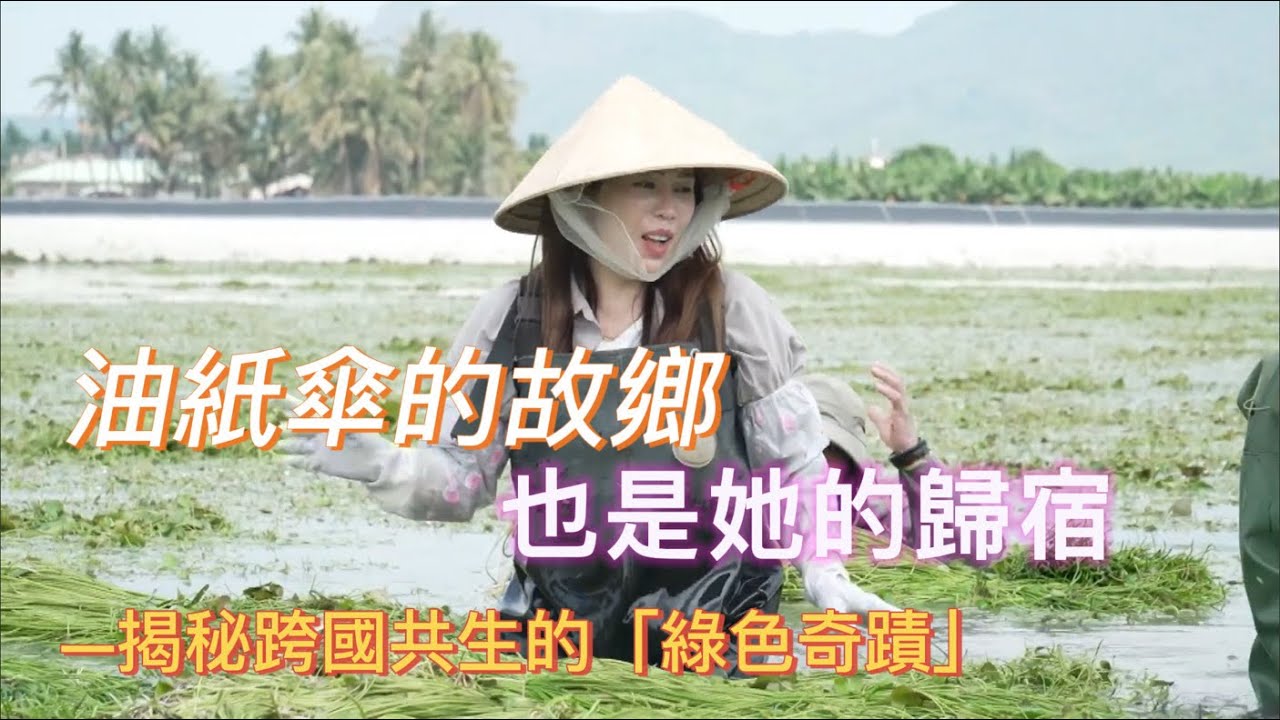 【沒有他們就沒有好吃的野蓮】走進美濃探訪上億產值的「綠色奇蹟 」