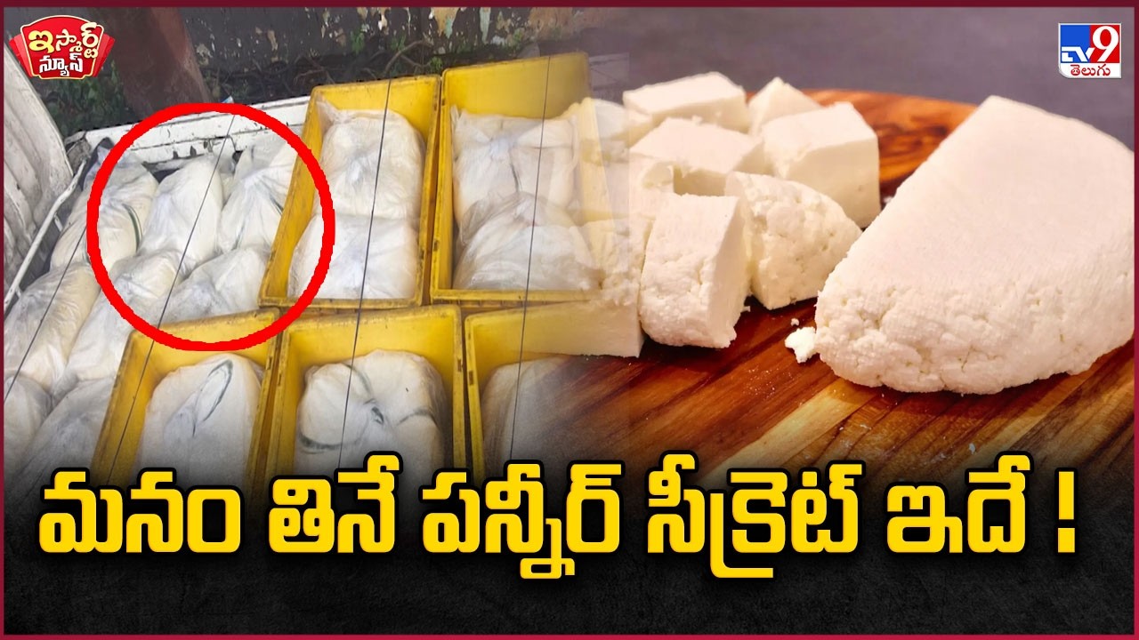 iSmart News: This Is the Secret Behind the Paneer We Eat! | Paneer - TV9