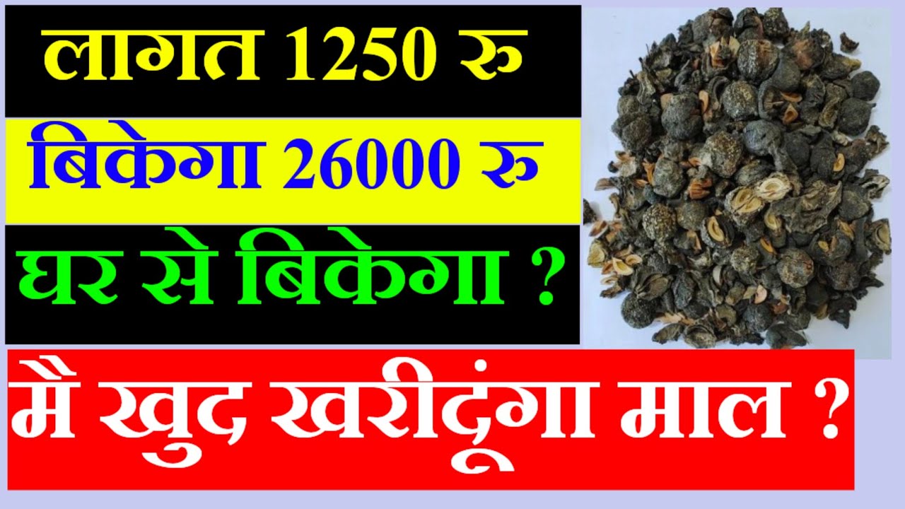 घर की छत को बनाओ फैक्ट्री?? 🏠↔🏭 एक आदमी की कमाई 4000₹?🤑💥 माल तैयार करो फैक्ट्री वापस खरीदेगी ?? 🏭🔥🔥