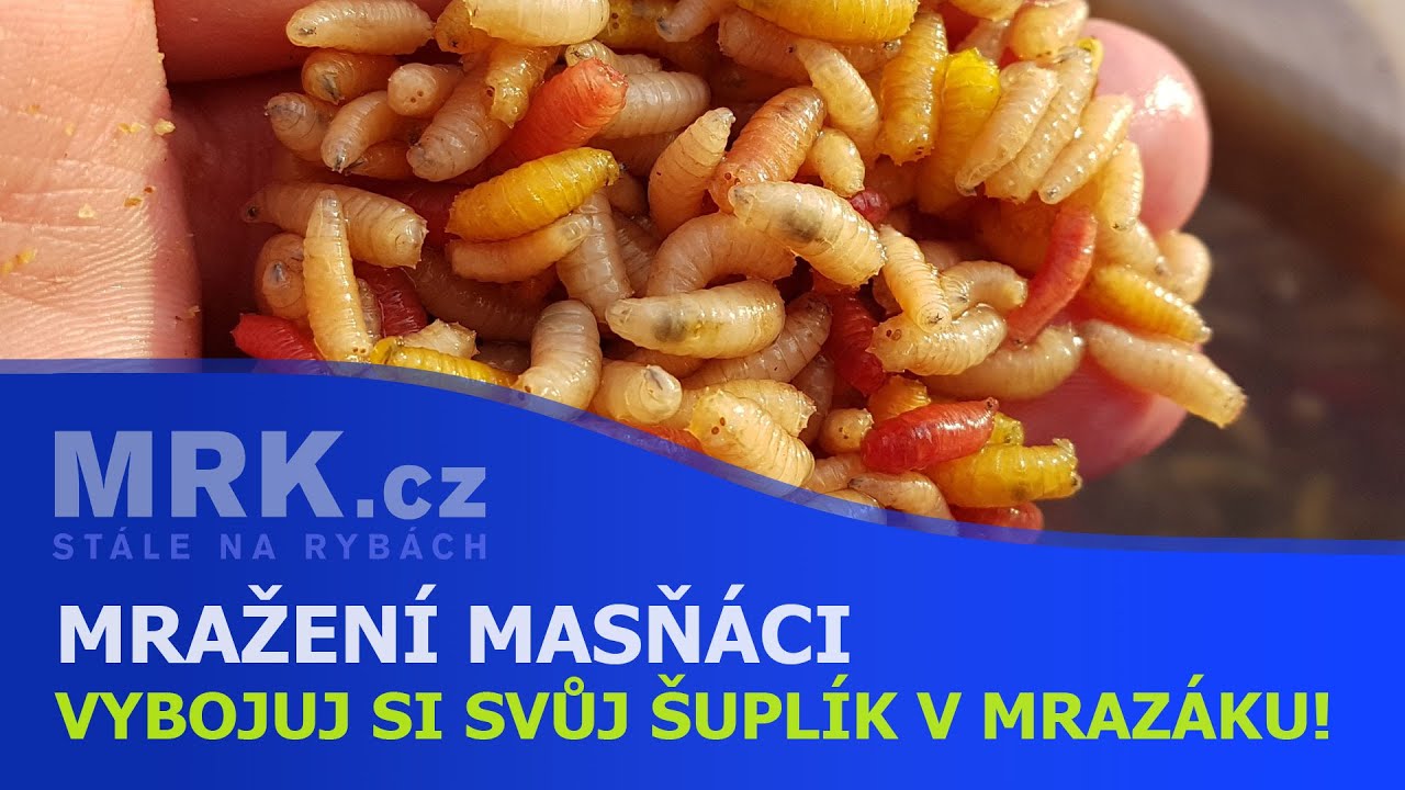 Zimní feeder - mražení červi a lisovaný rohlík