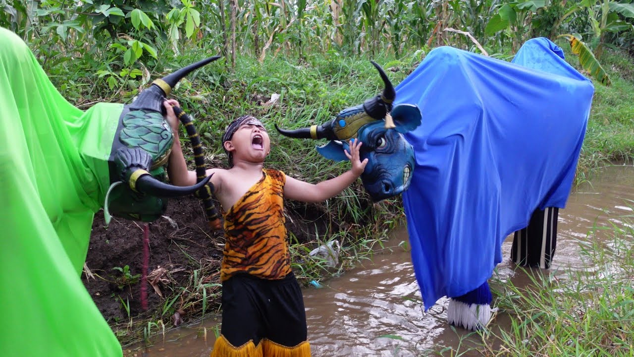 CINEMATIC VIDEO BANTENGAN TARUNG BERSAMA VICHO BOCAH NGEVLOG || BANTENGAN NGAMUK