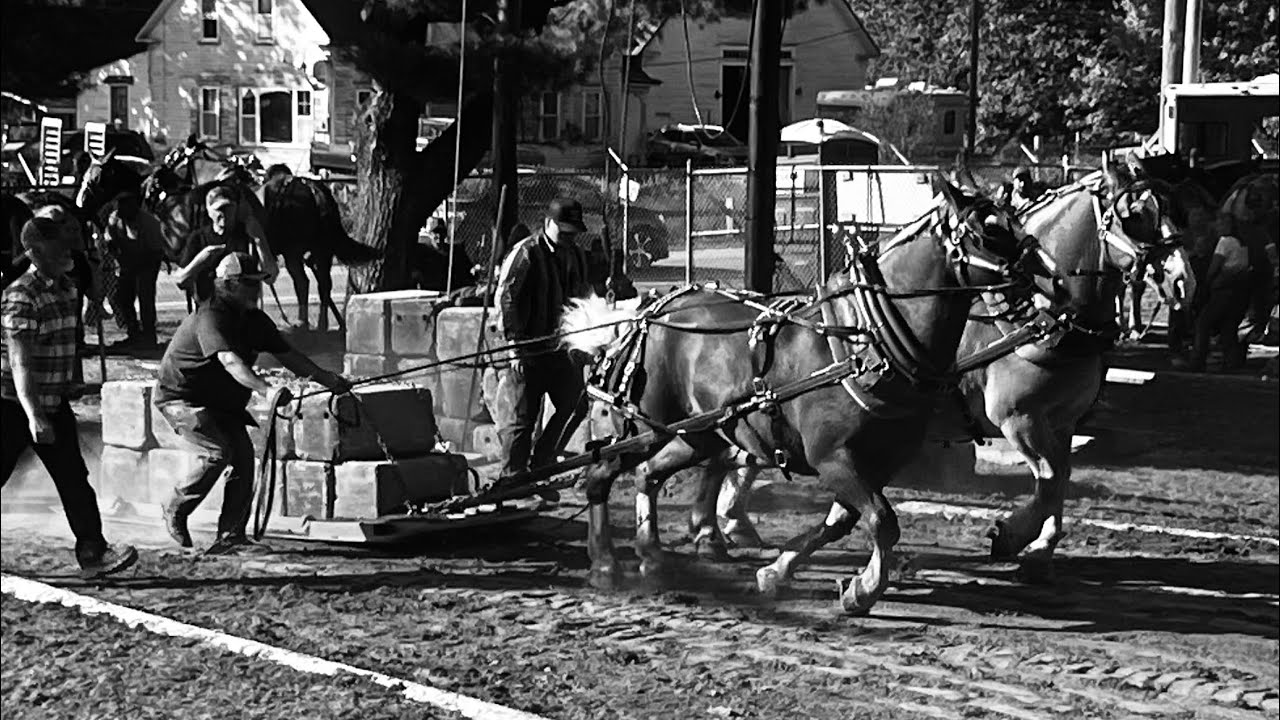 3600 pound hoss pull upta Deerfield Fair 2025